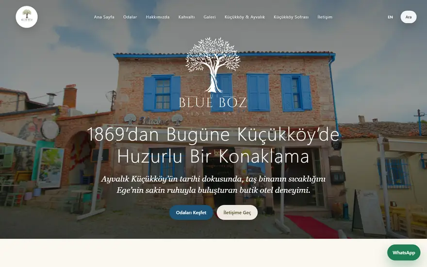 Blueboz web sitesi masaüstü görünümü