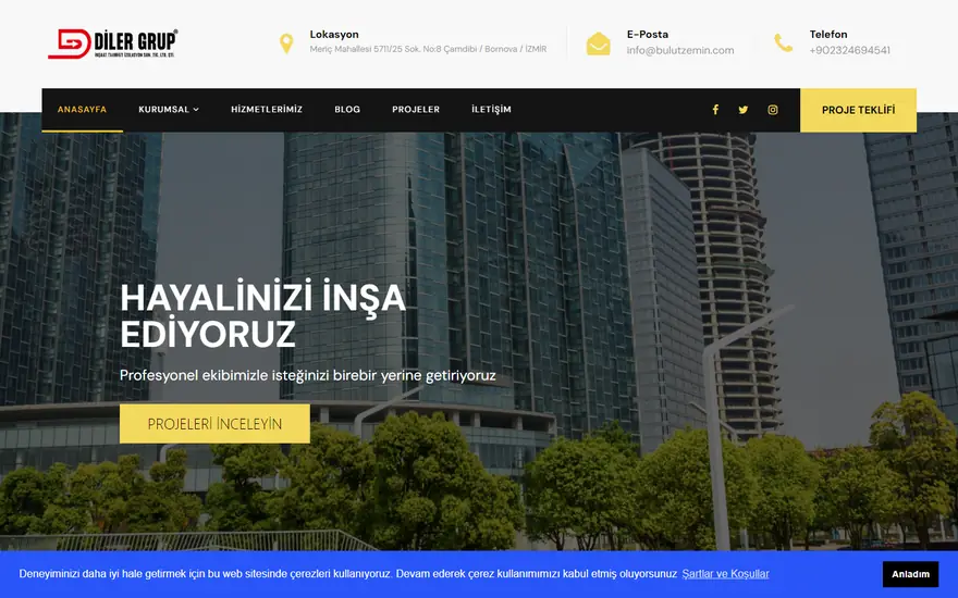 Diler Grup web sitesi masaüstü görünümü